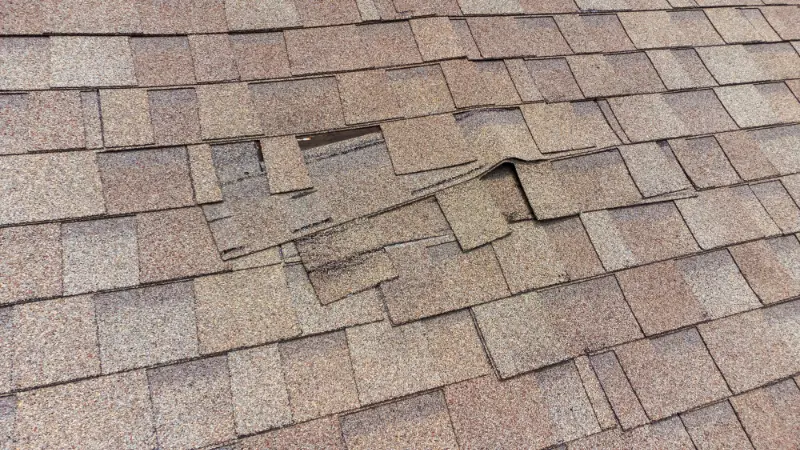 Storm damage repair project 6